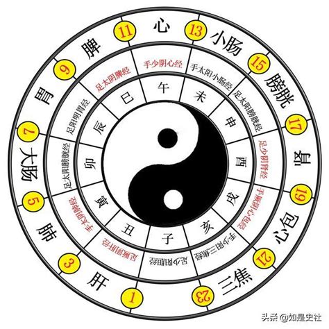 太極生兩儀兩儀生四象四象生八卦意思|太極簡介